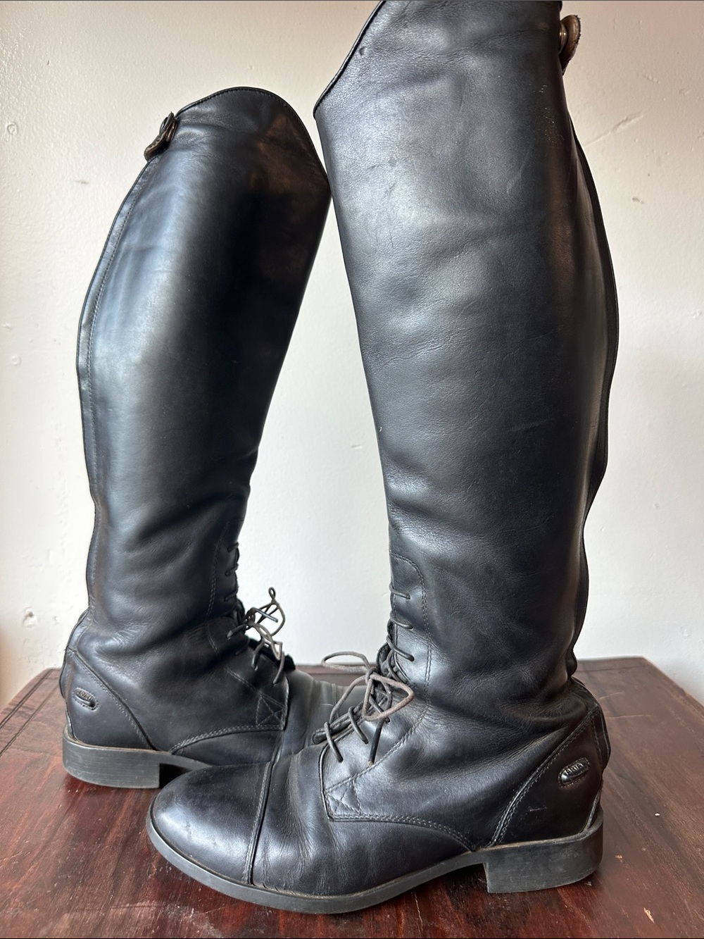 Black Women's Ariat equestrian Lace-Up Riding Boots